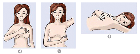 유방암 자가검진 방법을 설명한 그림